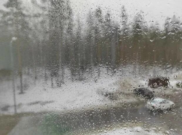 Песни хороводит снег с дождем. Умеренный дождь. Карелия дождь. Дождь в Карелии фото. Хижа снег и дождь.