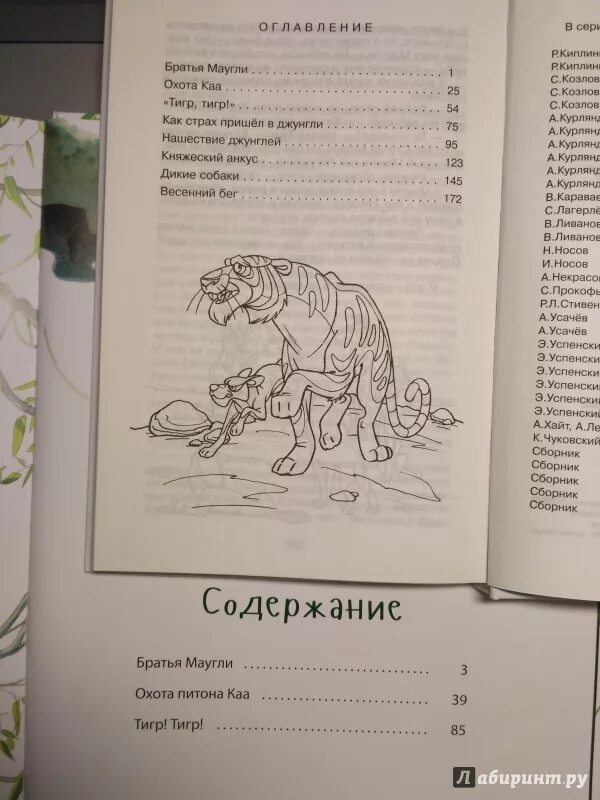 Маугли читать сколько страниц в книге. Книга джунглей оглавление. рассказы к книге джунглей. план пересказ братья маугли. киплинг маугли оглавление.