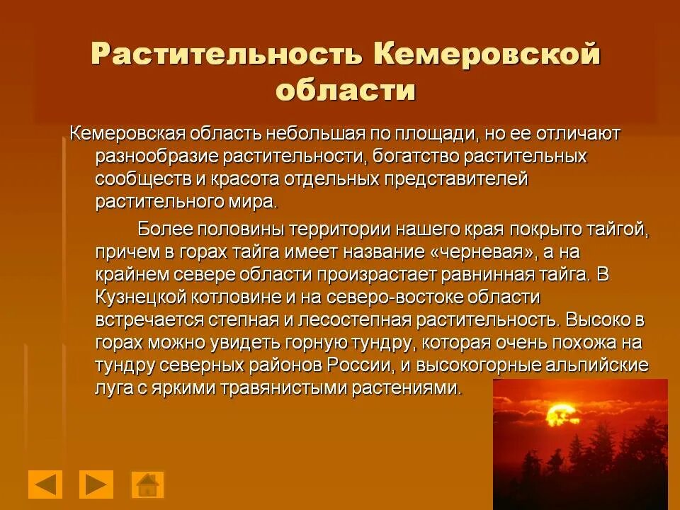 Экономика кемеровской области. Разнообразие природы Кузбасса. Растительный мир Кемеровской области кратко. Растительность Кемеровской области.