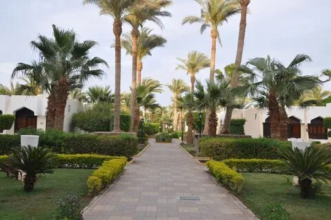 Regina hurghada