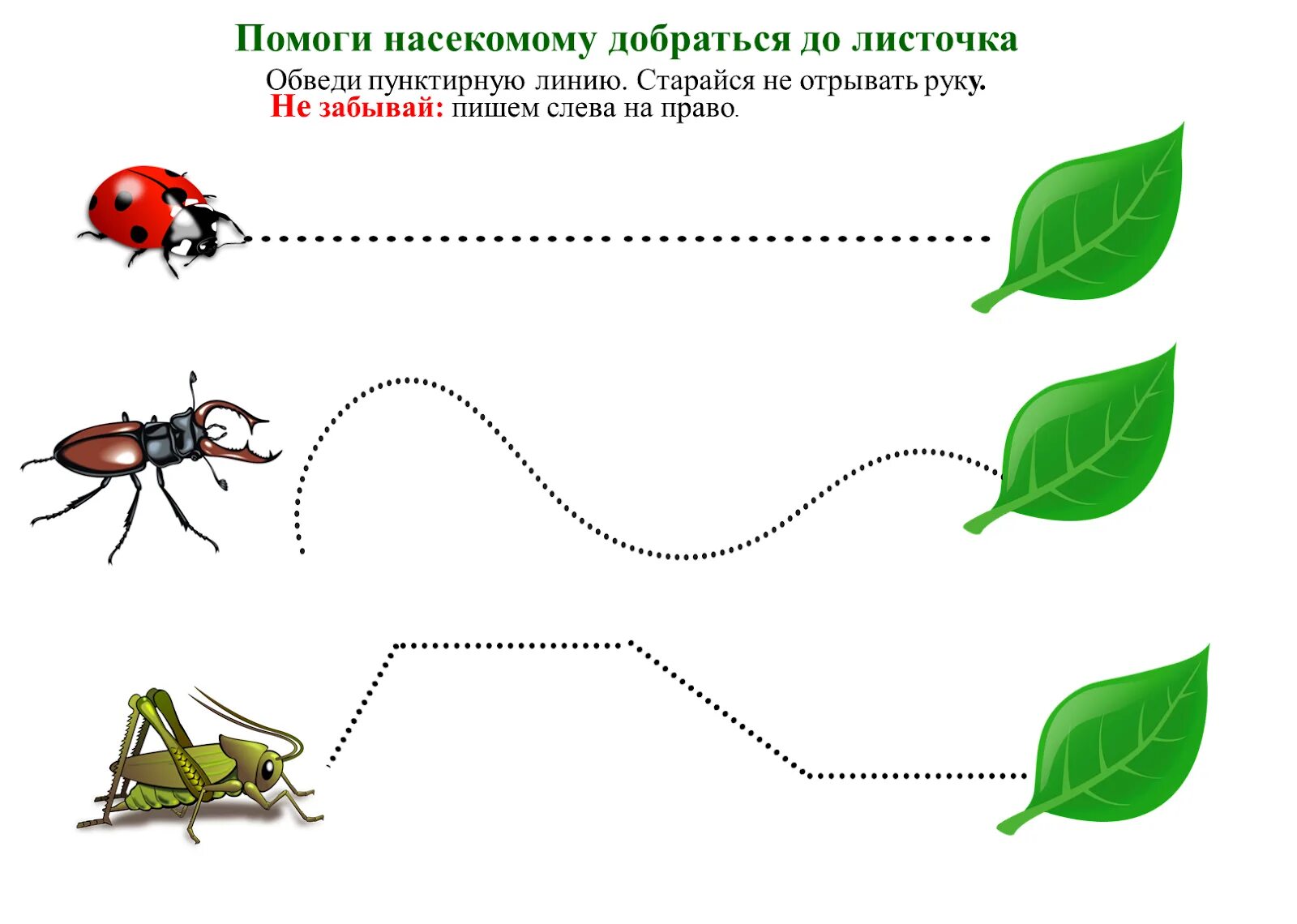 Насекомые задания для детей. Насекомые для дошкольников. Карточки насекомые для детей с заданием. Ползающие насекомые для дошкольников. Насекомые 2 младшая группа