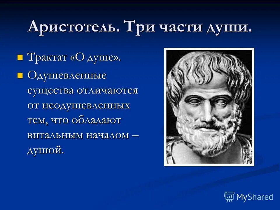 Аристотель является автором трактата. Аристотель трактат о душе. аристотель самосский. аристотель платон эмпедокл. аристотель (3 век до н. э. ).