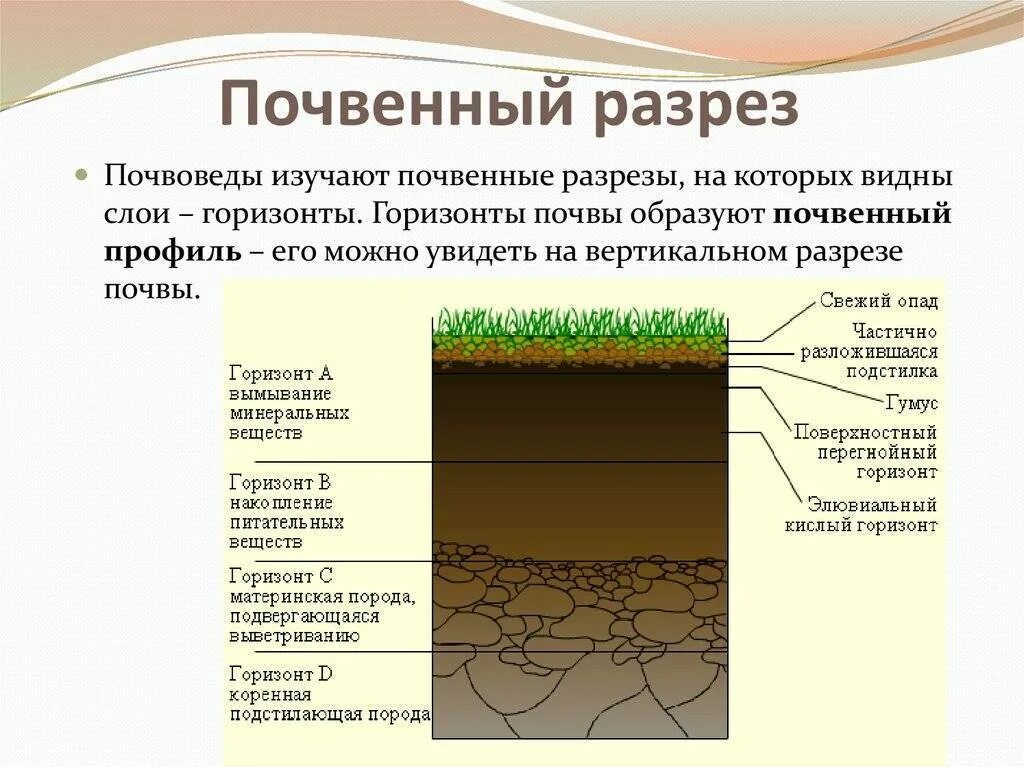 Как определяют структуру почвы. Почвенный разрез почвы схема. схема заложения почвенного разреза. почва в разрезе. слои почвы названия.