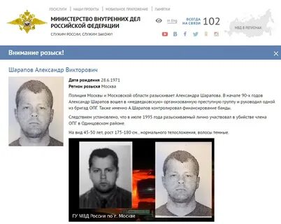 Виды розыска