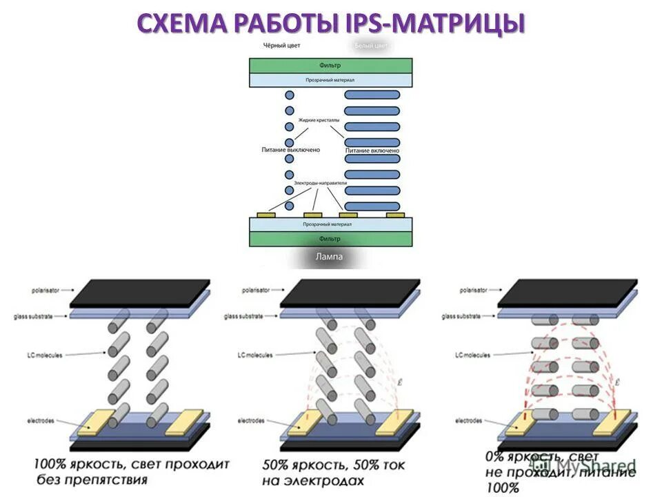 P ips s ips ips. Строение ips матрицы. тип матрицы монитора tn. ips матрица технология. схема матрицы монитора.