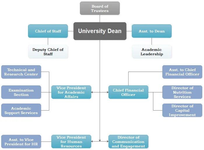 Structure of the university. Structure of university. organization structure of the university. structure of staff university. organizational structure of akfa university.