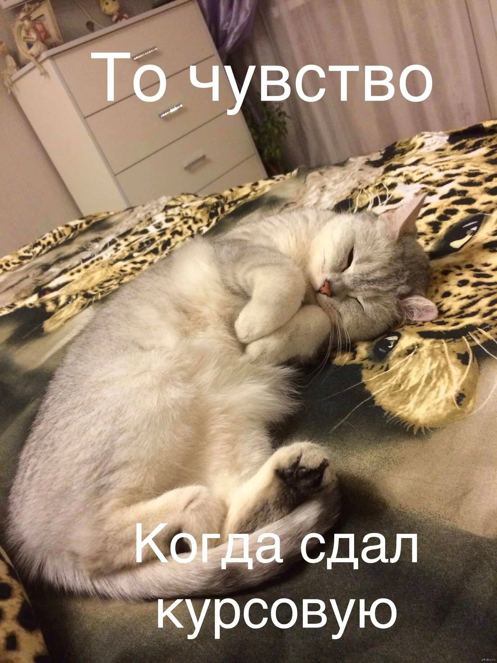 Поздравление с успехом. Поздравление с окончанием сессии картинки. Гора с плеч свалилась. Поздравление со сдачей сессии. Поздравление со сдачей сессии.