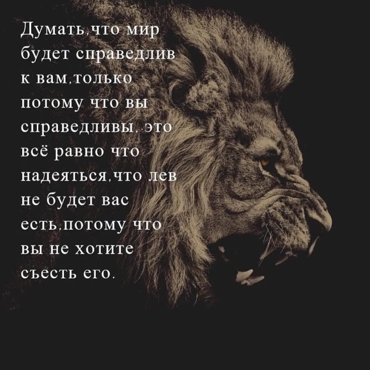 Будем сильными будем справедливыми. Афоризмы про Львов. Цитаты про Львов. Лев цитаты. Фразы о справедливых людях.