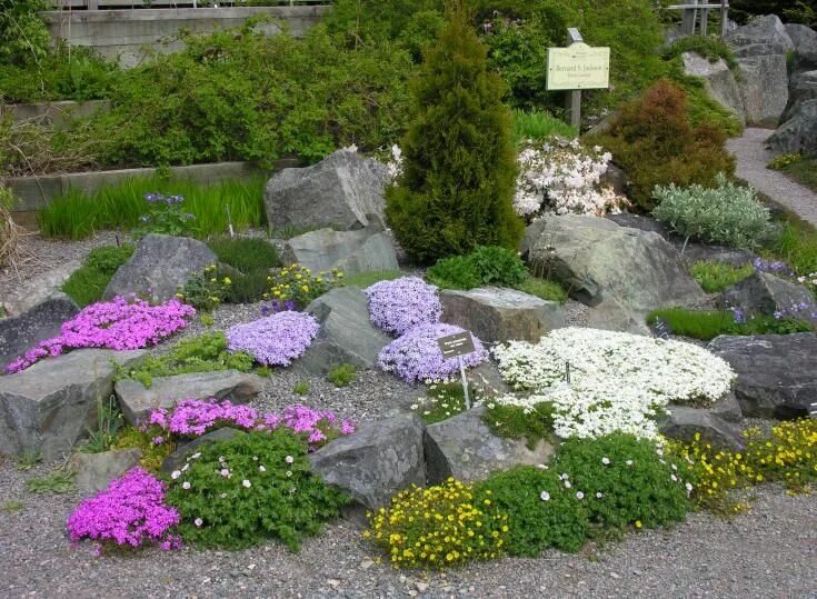 Альпийская горка: виды и 30 примеров оформления в разных условиях Jardim do quin