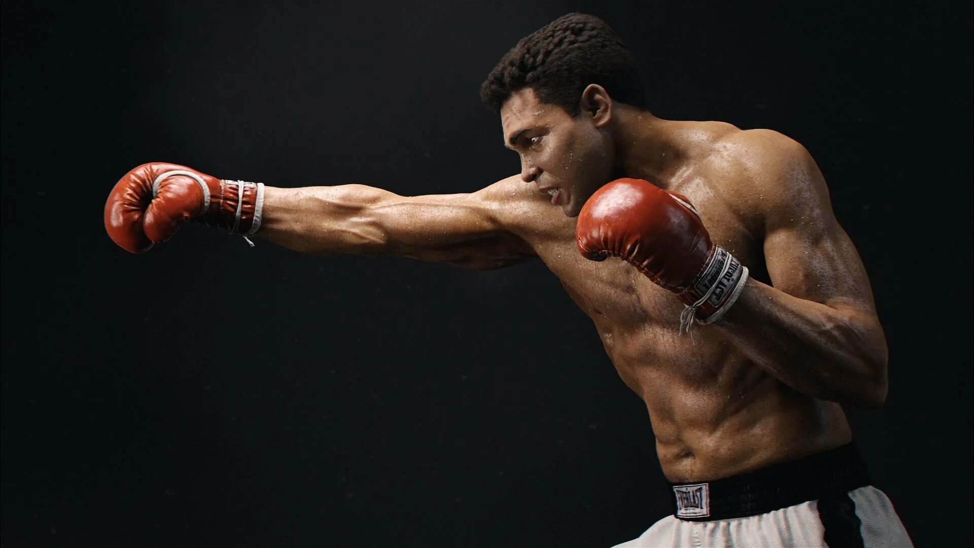 4 d boxing
