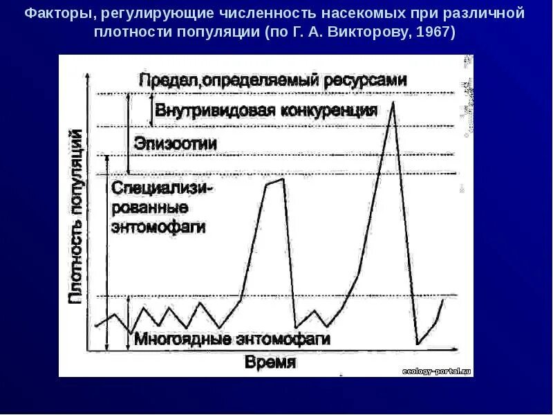 Схема регуляции численности популяции. Факторы регулирующие численность. Факторы регулирующие численность популяции. Факторы регуляции численности популяции.