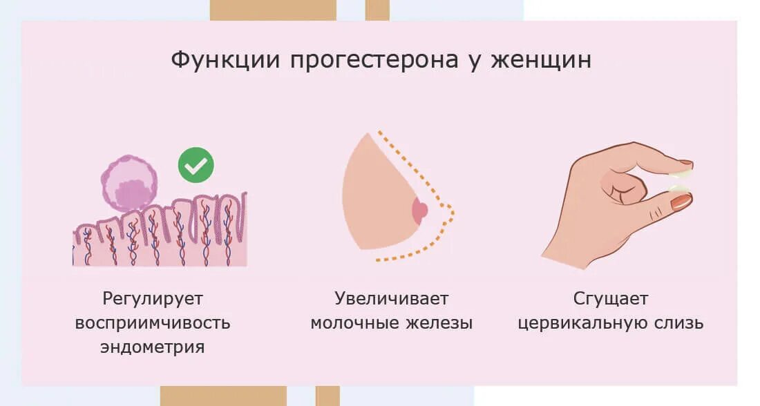 Прогестерон функции. Прогестероновая женщина. Оценка уровня прогестерона у мужчин. Прогестерон в менструальном цикле функция.