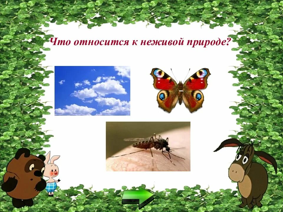 Известно что в природе. Известно что в природе. Что такое природа кратко. Известно что в природе. Рассказ человек и природа.