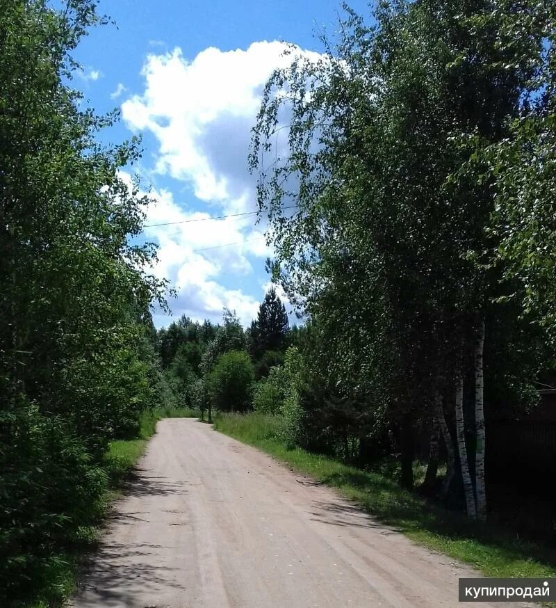 Вязники нижегородская область. Погода петрино. Петрино вязники. Погода петрино. Погода петрино.