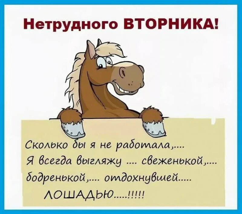 Настроение в понедельник. Вторник приколы. Шутки про вторник. Открытки со вторником прикольные. Анекдот про вторник.