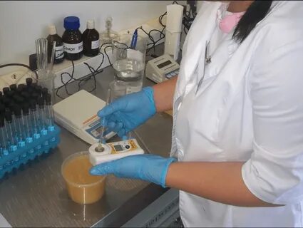 Оборудование для исследования домашней пчелы в лаборатории