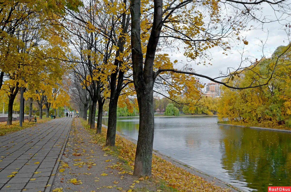 Осень в городе. Осенний город. Осень в парке. Парк осенью. Городское 6 октября