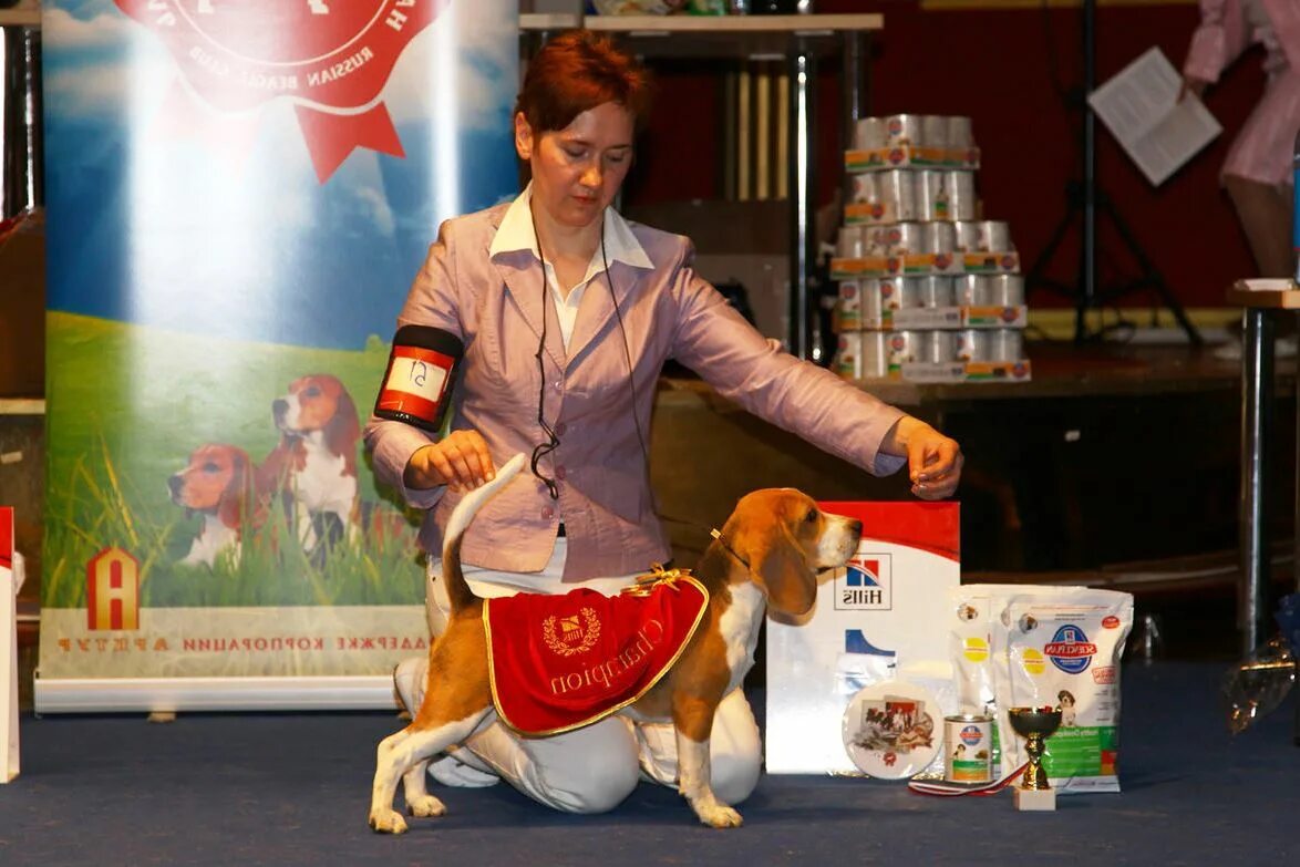 Племенное положение ркф. Положение ркф о выставках. Положение ркф о выставках. Положение ркф о выставках. Присвоение титулов ркф.