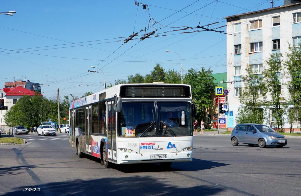Пес в автобусе. Автобус 51 мурманск. Мурманский автобус. Маз-103 автобус. Автобус маз мурманск.