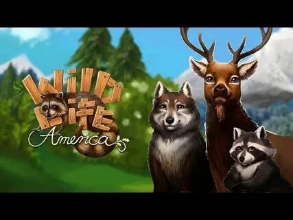 Много денег wildlife
