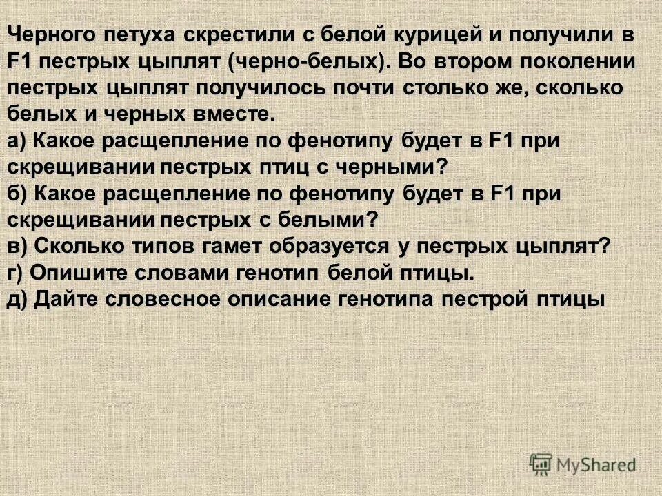 В корзине лежат 8 черных шаров и 24 белых. Белый яр верхнекетский район томской области. Колпашево белый яр такси. Как обозначается неизвестные числа. Население села белый яр хакасия.
