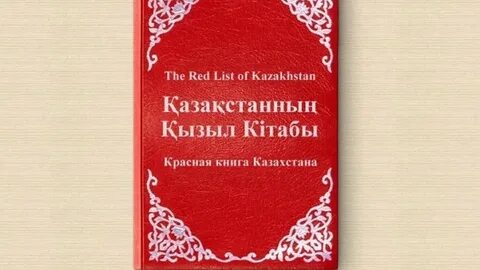 Усчи Дигардпен порно