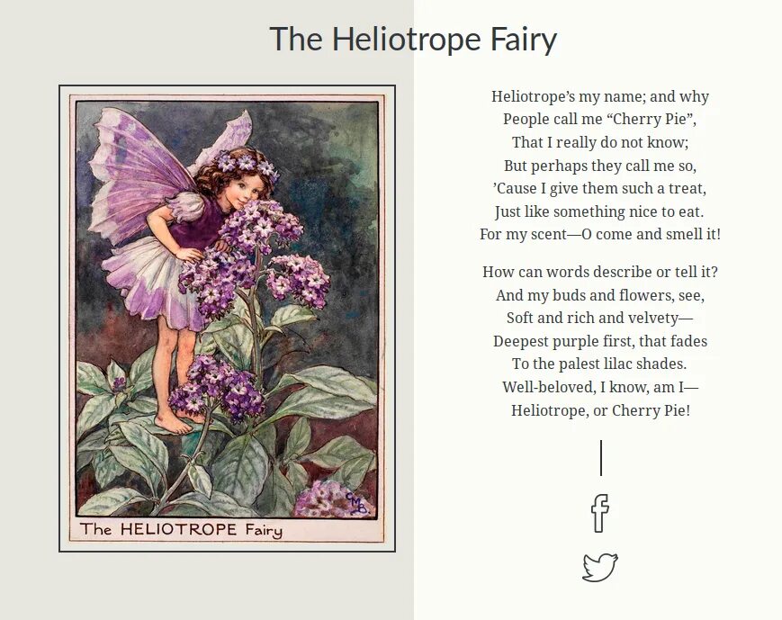 Цветы лета рассказ. Сесиль Баркер феи вышивка. Heliotrope Fairy Фея. Вышивка DMC Heliotrope Fairy. Фиалка Morgan's Heliotrope Fairy.