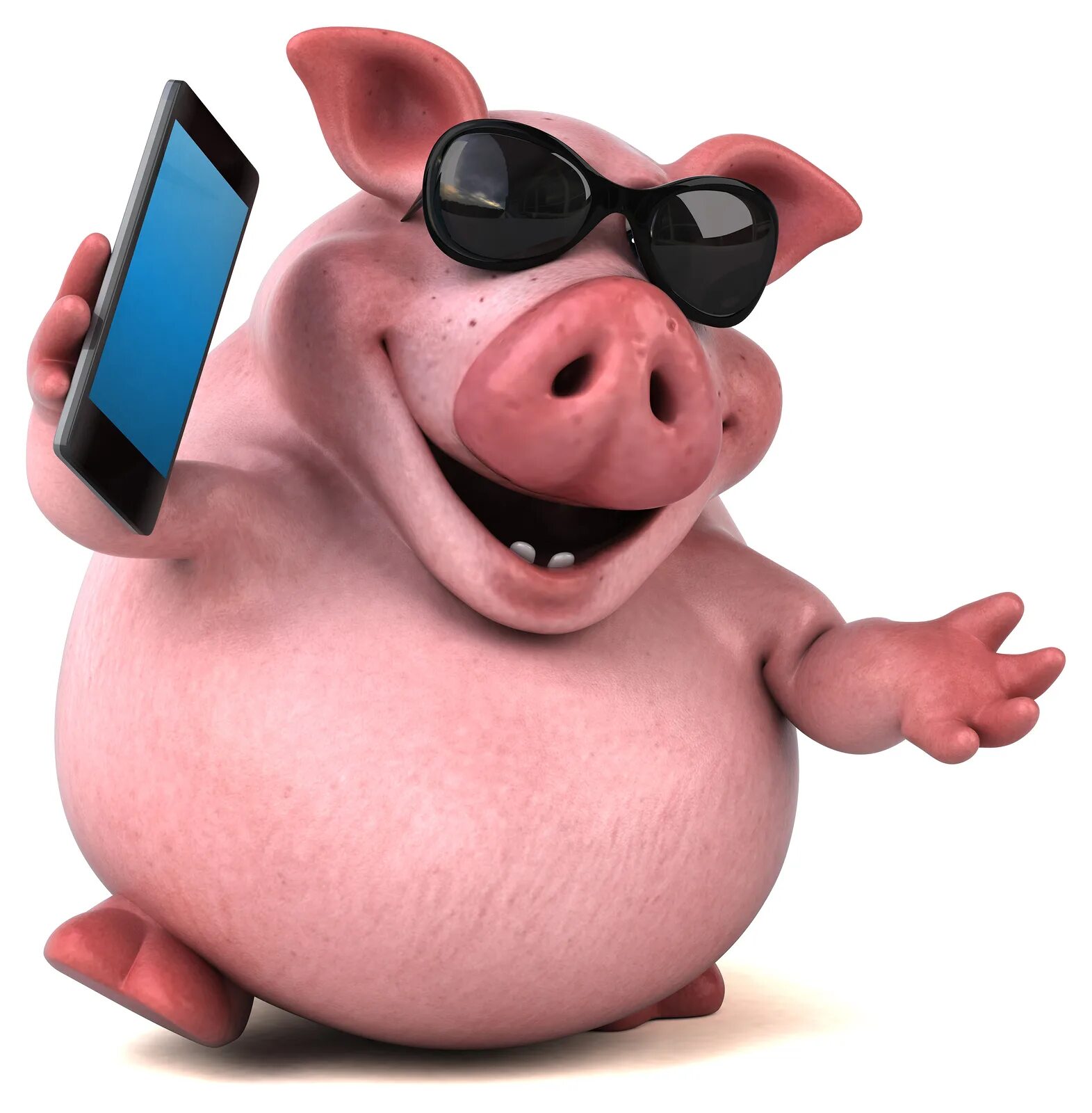 Свинка говорит. Свинья в очках. Свинка с телефоном. Хрюшка с телефоном. Свинья с телефоном.