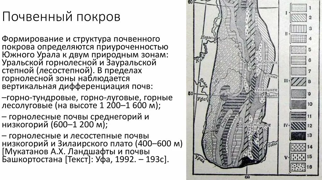 Характеристика почвенного покрова. Структура почвенного покрова. почвенный покров урала. особенности почв урала. строение почвенного покрова.