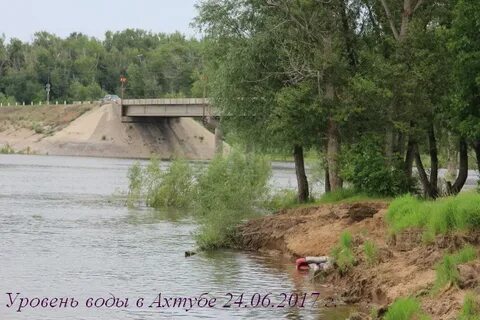 Уровень ахтубы в ахтубинске