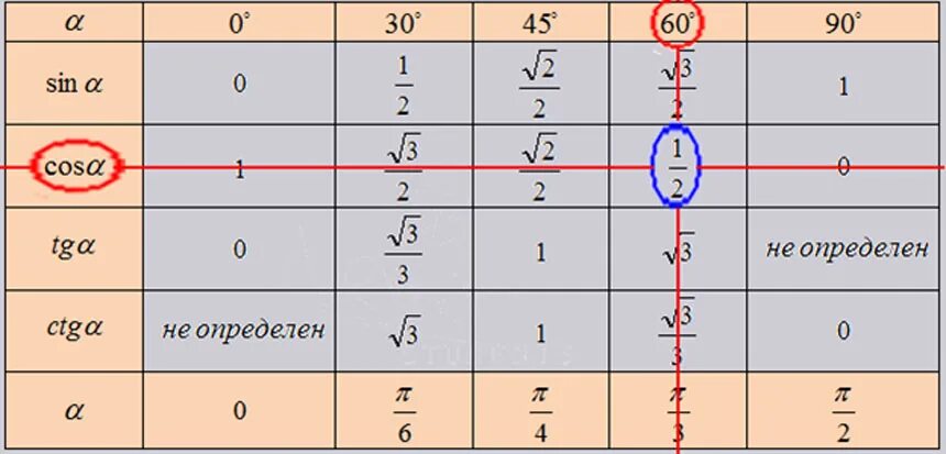 Синус угла 1 3 в градусах. Косинус 45 градусов таблица. Таблица синус косинус тангенс 30 45 и 60 градусов таблица. Косинус 30 45 60 таблица. Синус 30 градусов таблица.