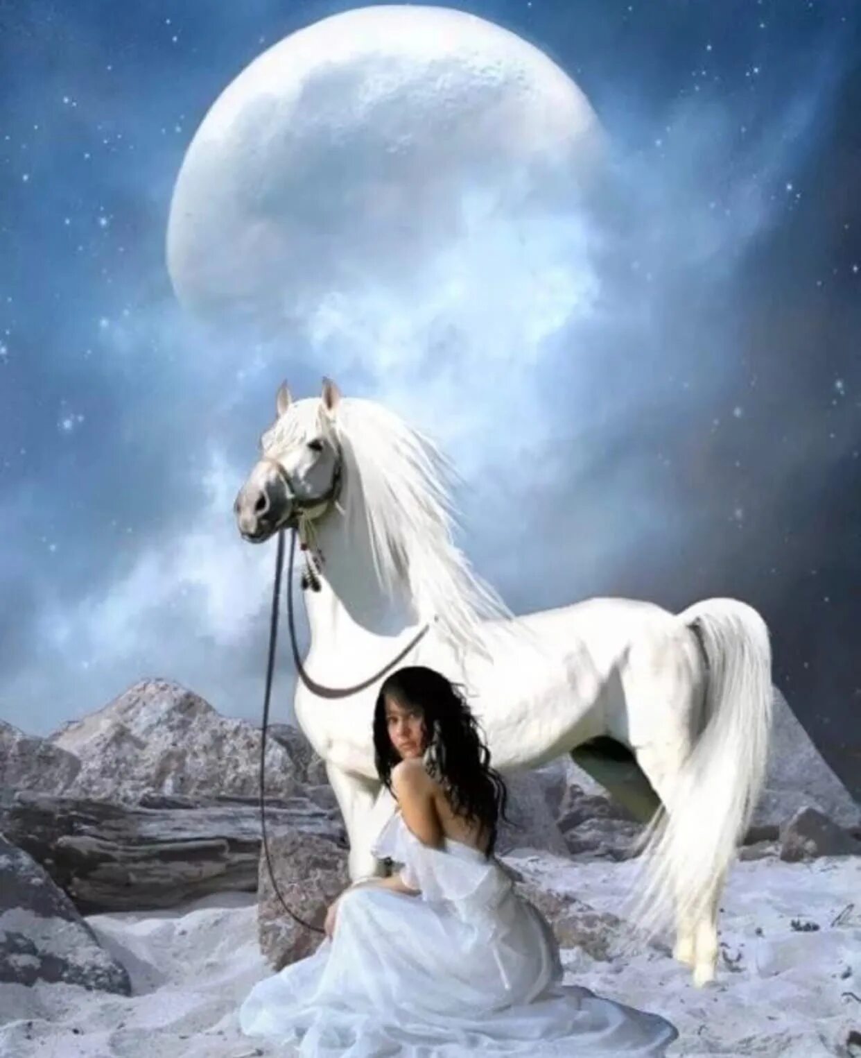 Белая луна днем. Лунный конь. Лунная лошадь. Лошадь и Луна. Белая Луна.