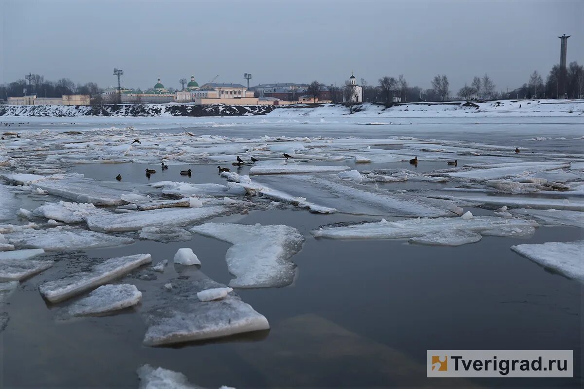 Ледоход в твери. Ледоход в Твери 2022. Ледоход на Волге Тверь. Ледоход на Волге в Твери в 2022 году.