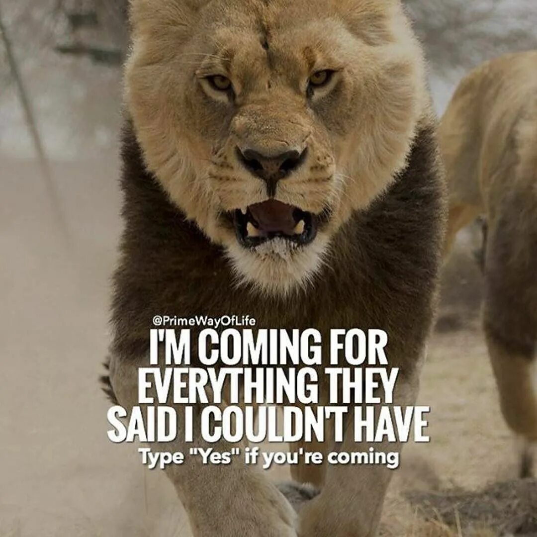 Im coming for it all. Im coming. for everything. im coming for you. im coming meme.