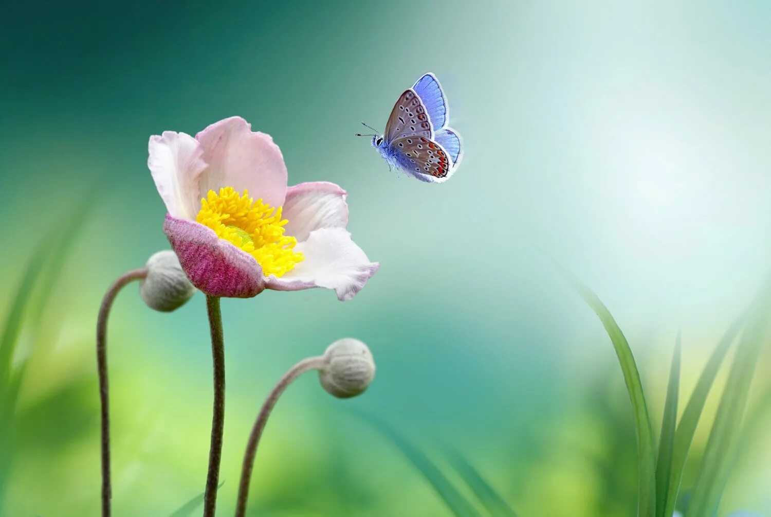 You can be the beauty. Телевизор Artel 32ah90g led. Телевизор Artel 24ah90g 24" (2019). Life is beautiful. Обои на телефон Life is beautiful.