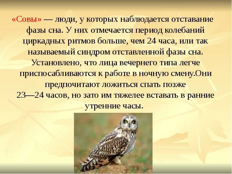 Человек сова как называется. Человек сова. люди совы характеристика. сова как человек. режим совы у человека.
