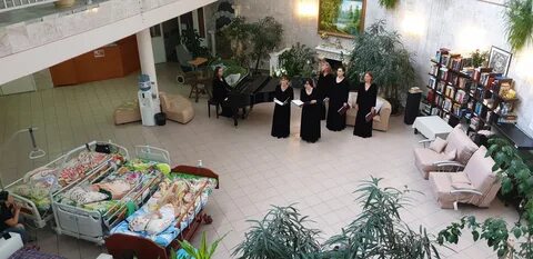 Центр паллиативной помощи некрасовка