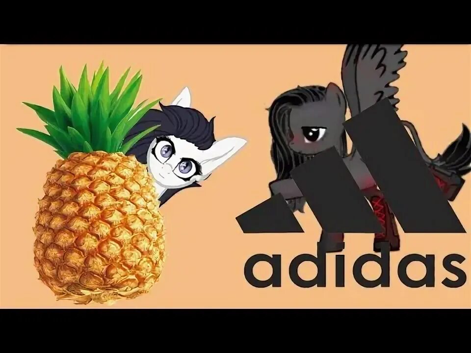 Adidas pony