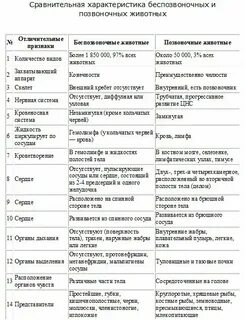 Сравнительная характеристика позвоночных животных