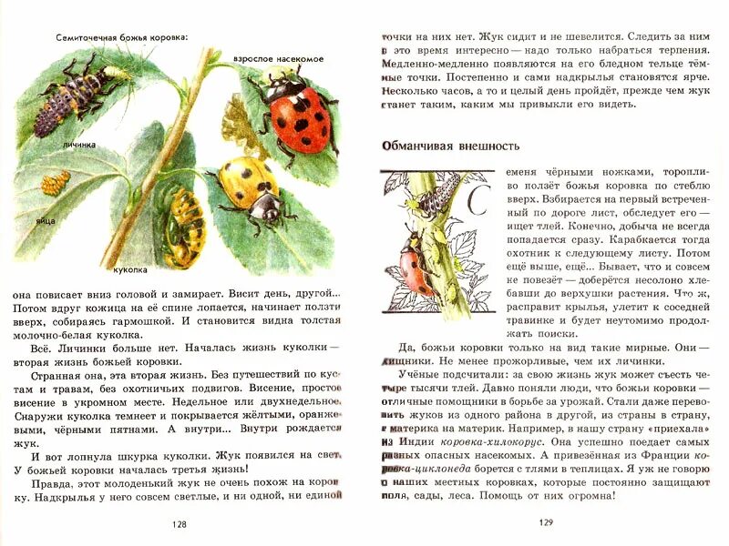 Рассказ первые бабочки зеленые страницы 2 класс. Книга Плешаков зелёные страницы. Книга зелёные страницы 2 класс рассказ солнышко. Книга зеленые страницы рассказ солнышко. Зелёнин страница расказ сонышко.