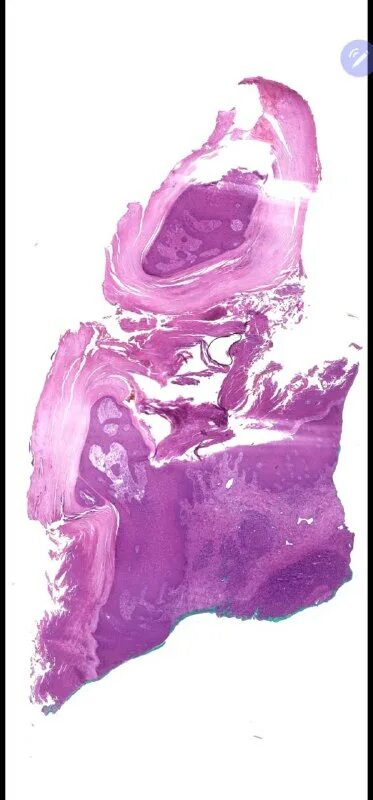 красным чернилом были обозначены самые