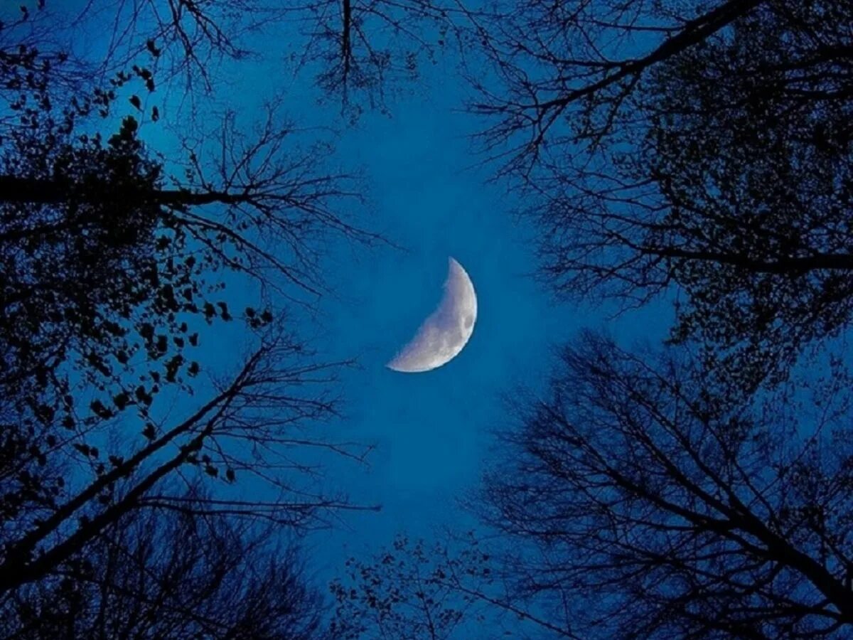 Самый прекрасный месяц. Луна на небе. Ночь Луна. Ночная Луна. Ночное небо с луной.