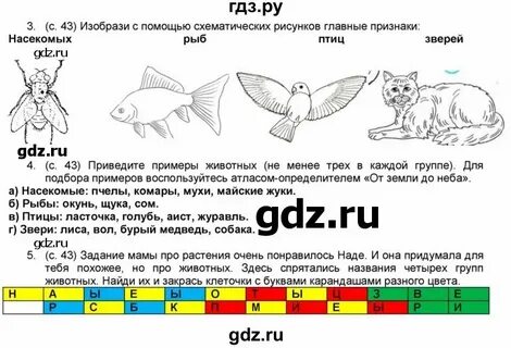 Схематические признаки насекомых рыб птиц зверей