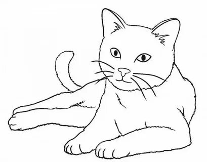 Картинки Кот рисунок (39 шт.) - #7992