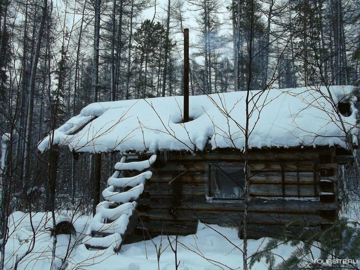 4 дня в тайге. Заимка зимовье Томск. Охотничьи зимовья и избушки в тайге. Заимка охотника в тайге. Охотничья база “зимовье охотников”.