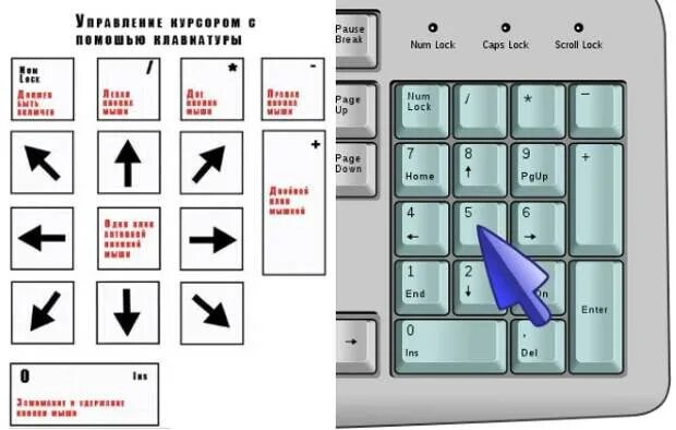 Как управлять компьютером с клавиатуры. Как использовать клавиатуру вместо мышки. Управление с клавиатуры без мышки. Управление курсором с клавиатуры. Управление клавиатурой без мыши.