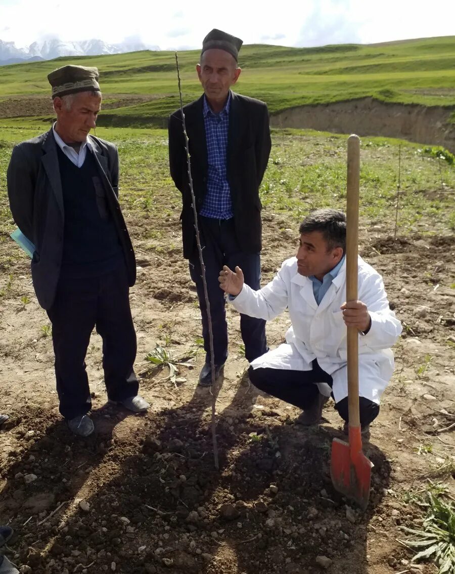 Прогноз погоды в ганчи. Таджикистан Ганчи Деваштич. Нохияи Деваштич Таджикистан. Таджикистан район Ганчи. Деваштичский район.