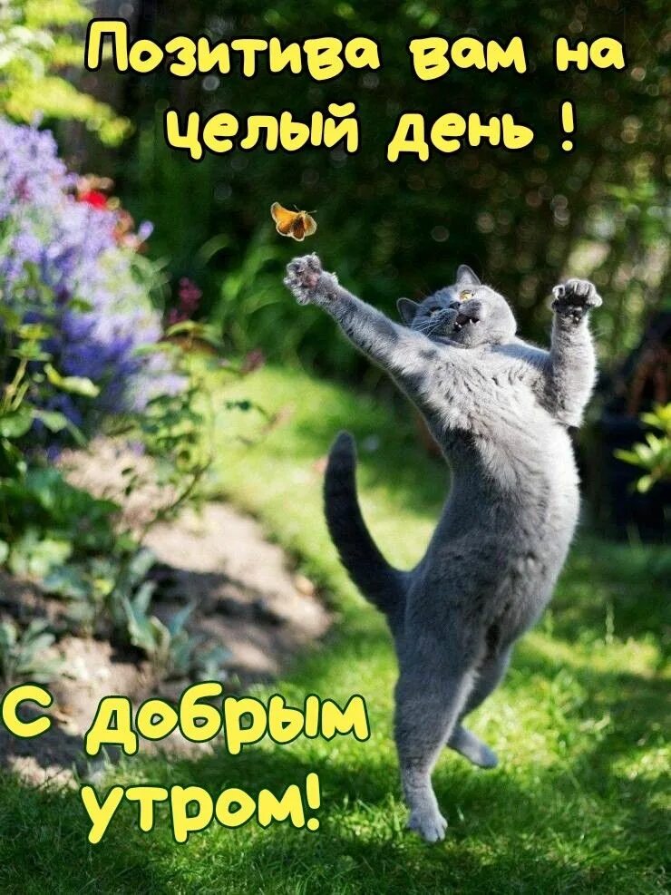 Праздник хорошего настроения!