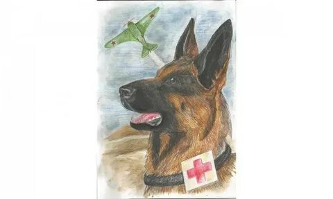 Блокадные животные рисунки