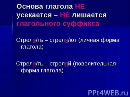 Виды основ глагола